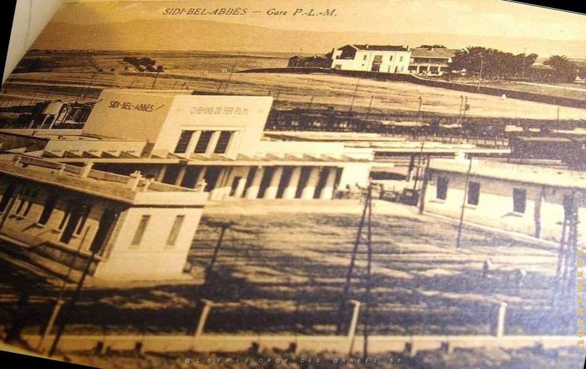 Sidi bel abbes 639.jpg